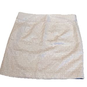 Banana Republic Mini Skirt 04